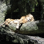 Picture 008